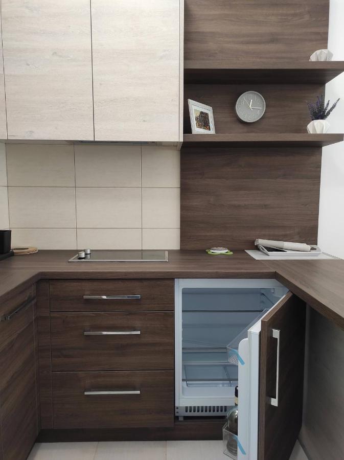 Studio apartman Dani Banja Koviljaca Bagian luar foto