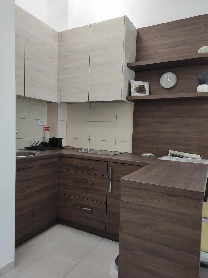Studio apartman Dani Banja Koviljaca Bagian luar foto