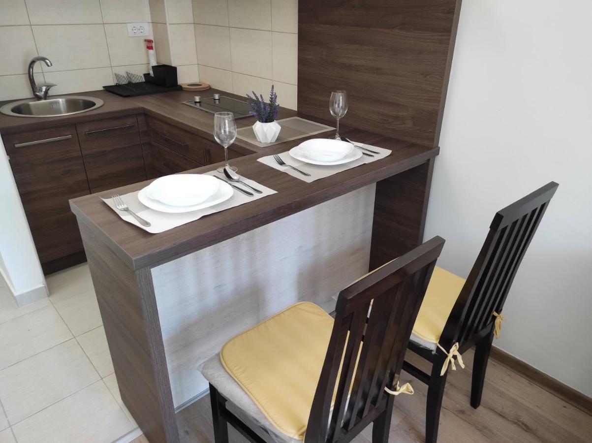 Studio apartman Dani Banja Koviljaca Bagian luar foto